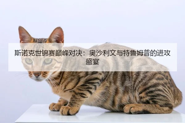 斯诺克世锦赛巅峰对决：奥沙利文与特鲁姆普的进攻盛宴