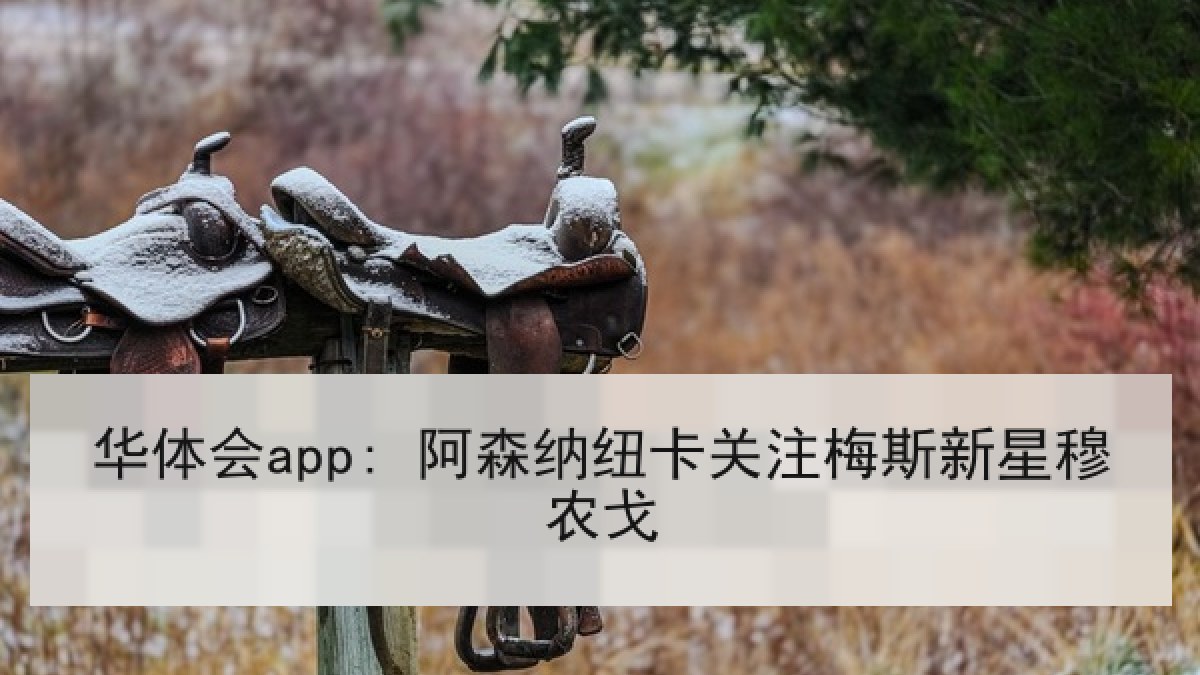 华体会app: 阿森纳纽卡关注梅斯新星穆农戈 华体会app: 阿森纳纽卡关注梅斯新星穆农戈