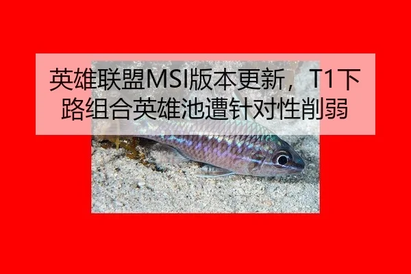 英雄联盟MSI版本更新，T1下路组合英雄池遭针对性削弱